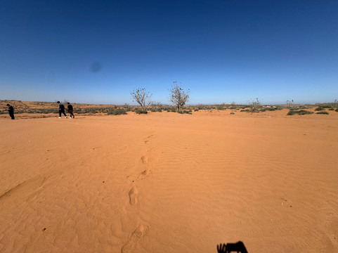 Nomads Agadir Camel & Horse-阿加迪尔必去景点