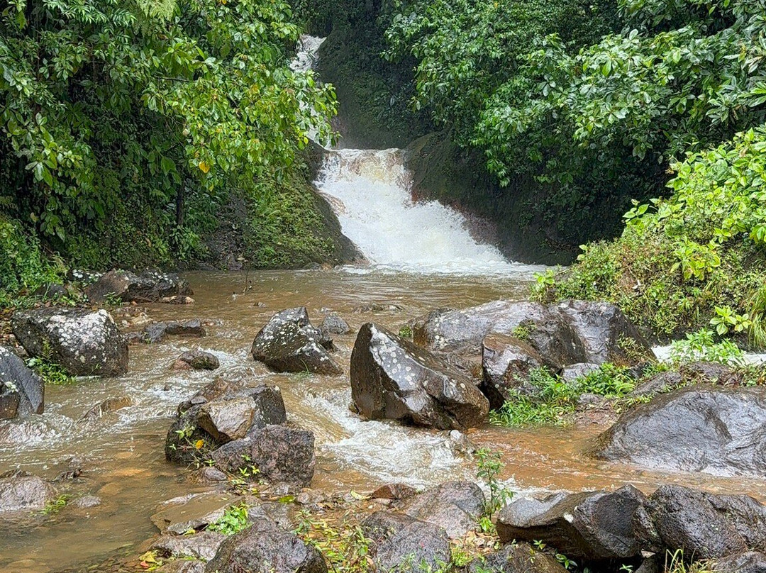 Discover Costa Rica Tours and Transfers-利比里亚必去景点