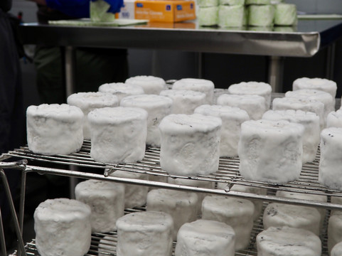 Green Dirt Farm-Weston必去景点