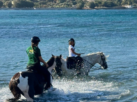 Horse Riding In Leros - The Mountain Ranch