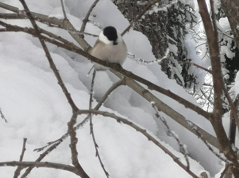 Ruka Adventures-库萨莫必去景点