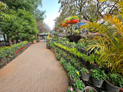 Mapro Garden-马哈巴勒什瓦必去景点