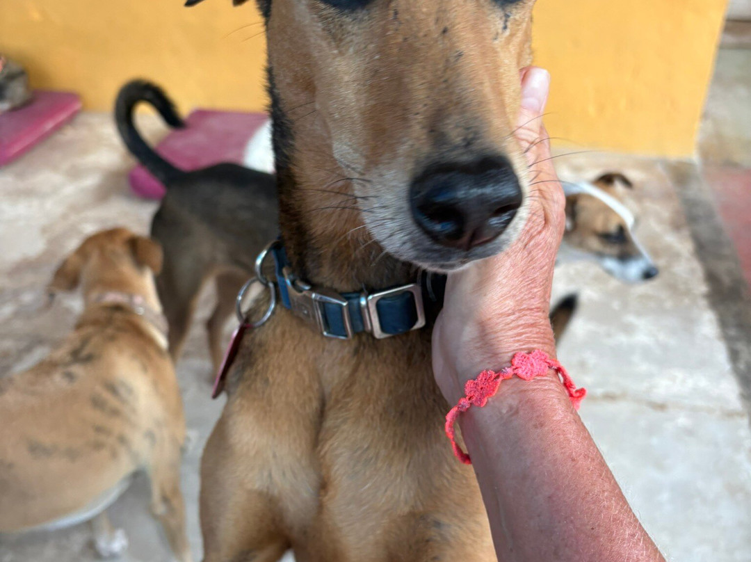 Refugio Holbox-Holbox Island必去景点