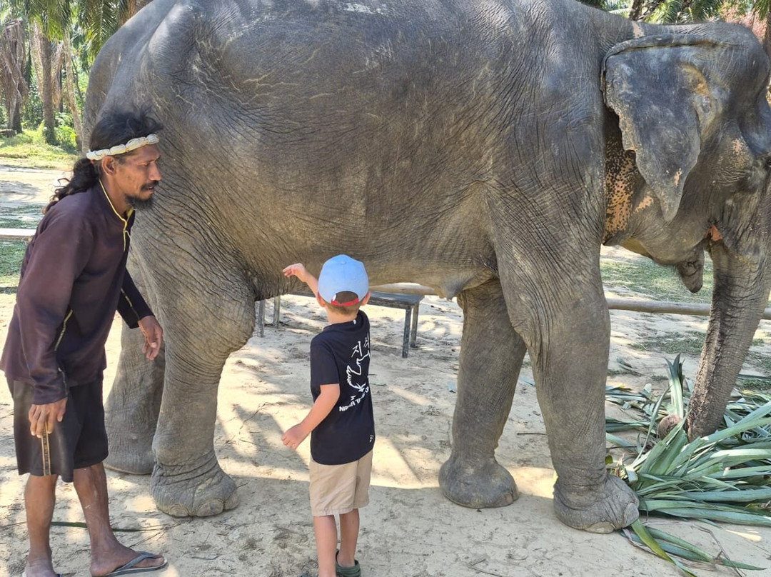 Lanta Elephant Sanctuary-兰塔岛必去景点