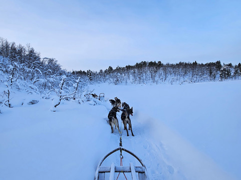 Into Nature-Meistervik必去景点