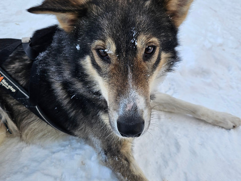 Into Nature-Meistervik必去景点