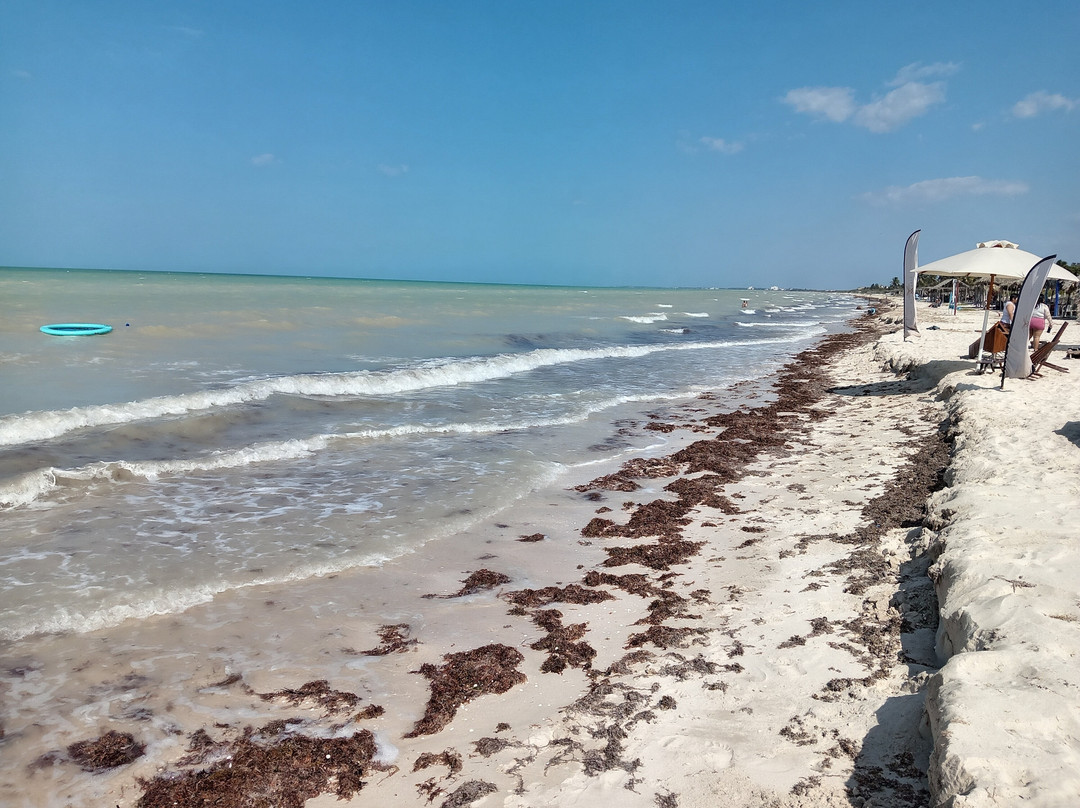 Villas Manglar