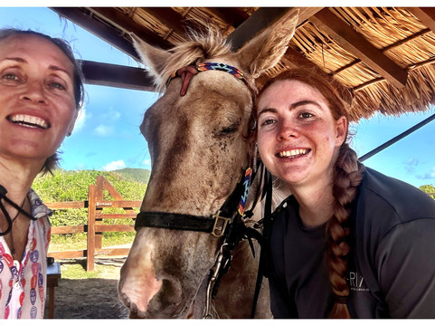 The Aerial, BVI主图