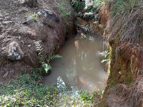 Lang Biang Trail-大勒必去景点