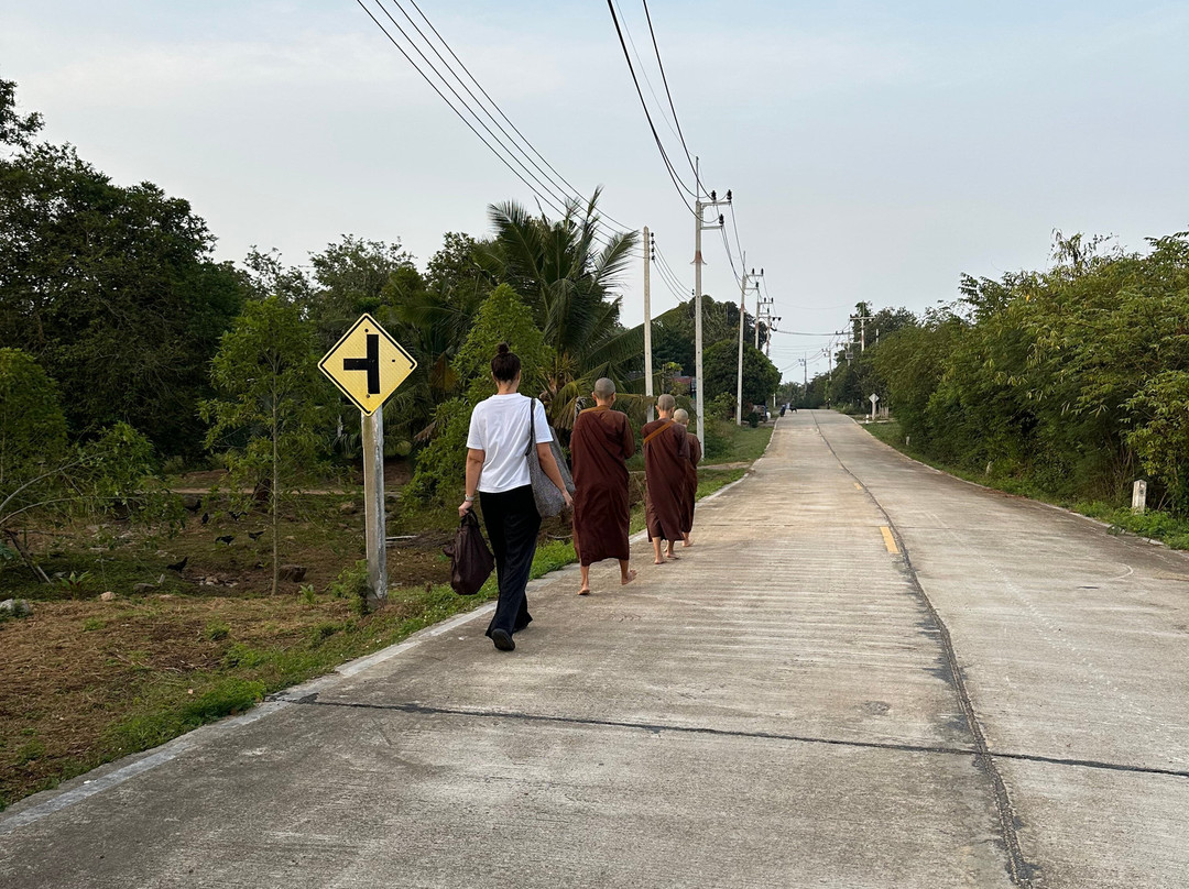 Meditation Island - Thailand-素叻他尼必去景点