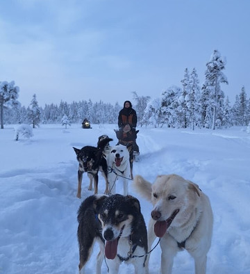 Wingrens Dogsafaris-Kongas必去景点