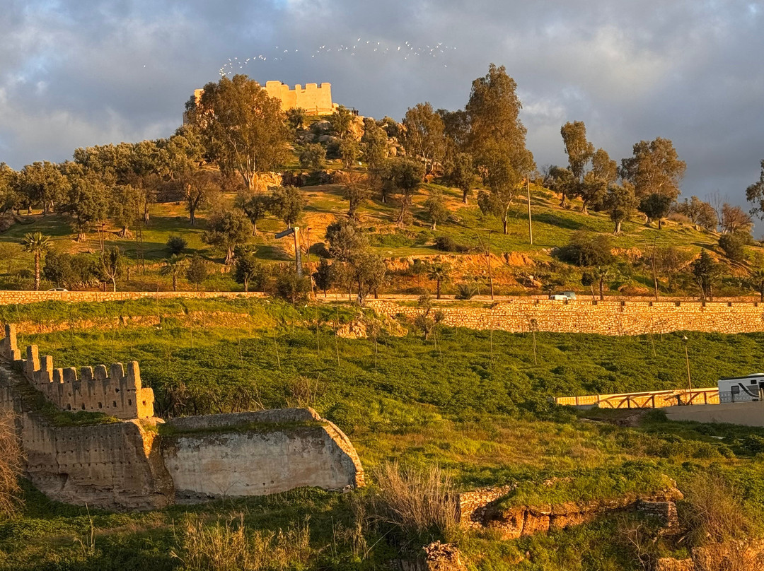 Private Morocco Driver-马拉喀什必去景点