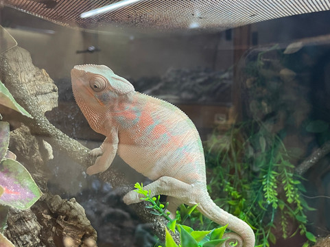 Crocs R Us-Filton必去景点