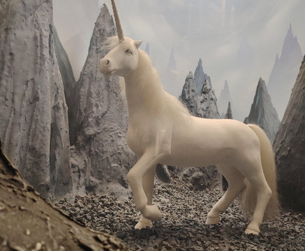 萨尔茨堡自然历史博物馆-萨尔茨堡必去景点