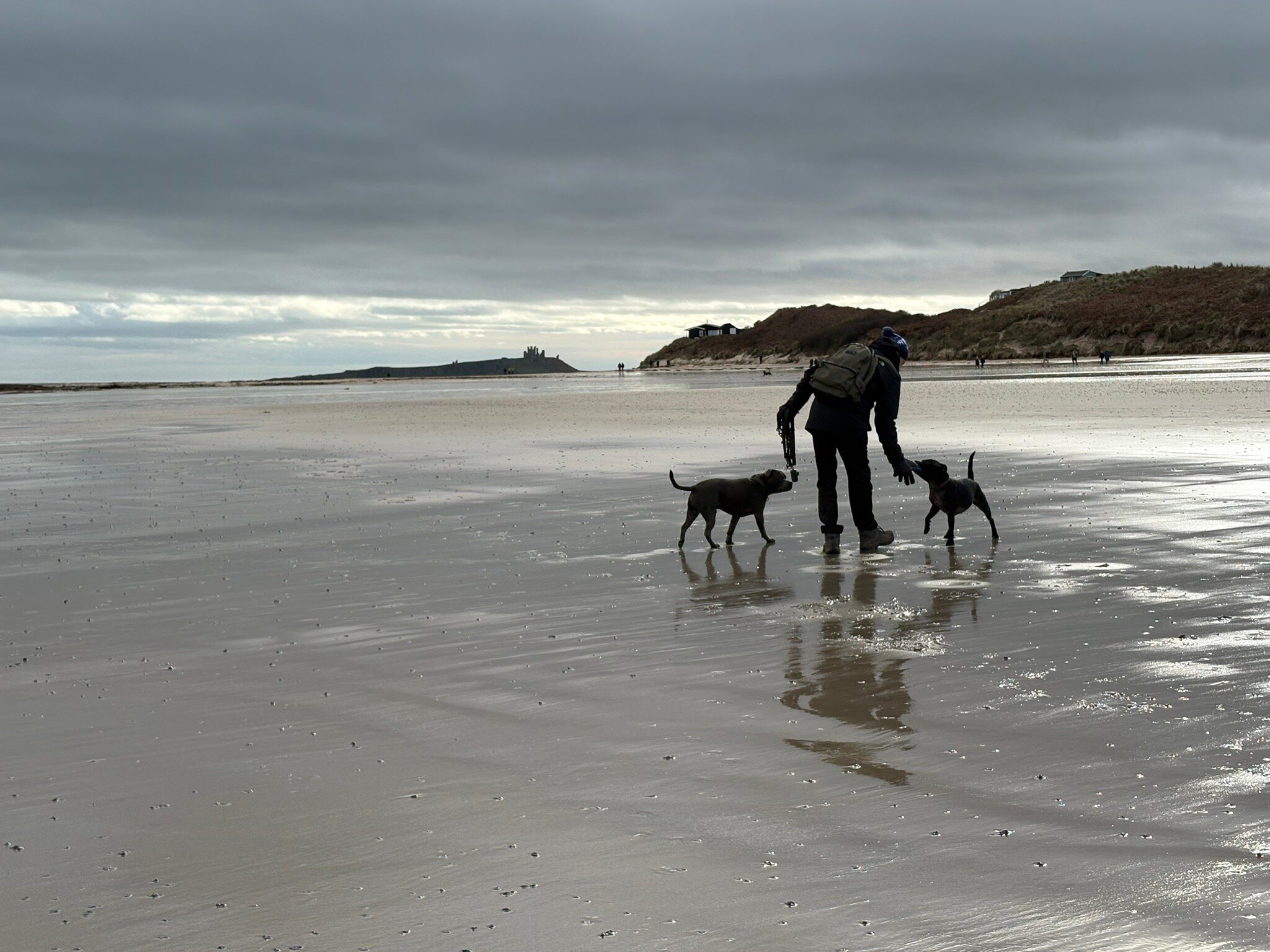 伯利兹福德阿姆斯酒店-官方