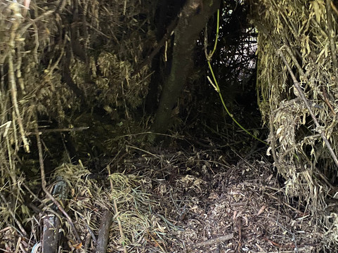 Lemuy Island-奇洛埃岛必去景点