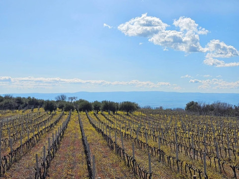 Tenuta Papale-Belpasso必去景点