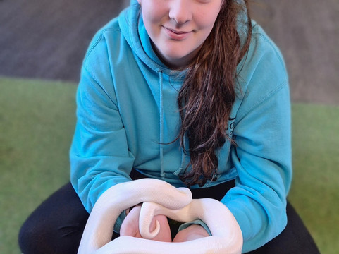 Milestone Ranch Country Park-唐克斯特必去景点