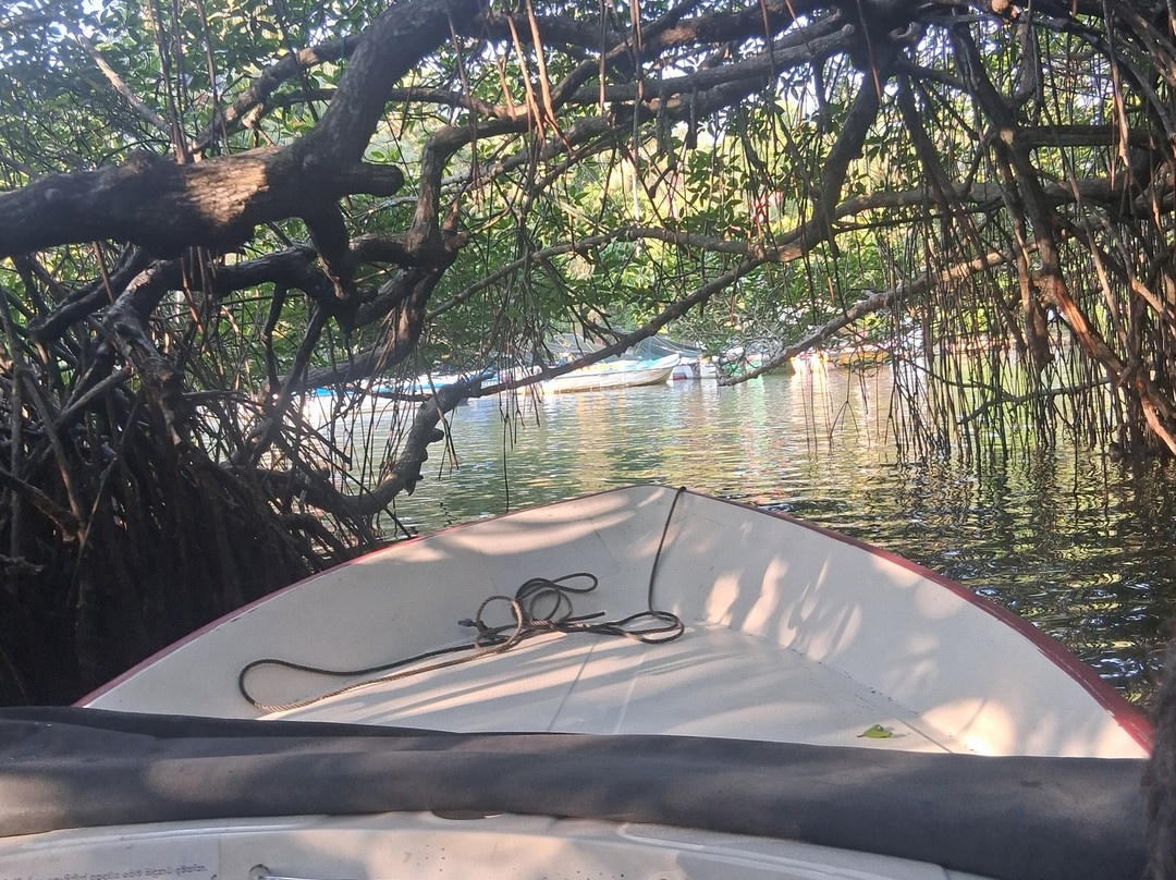 Chauffeur Sri Lanka by Dohansa Lanka Tours-尼甘布必去景点