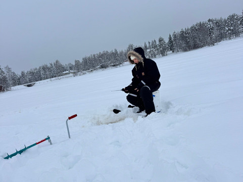 Lupland Adventures-Ranua必去景点