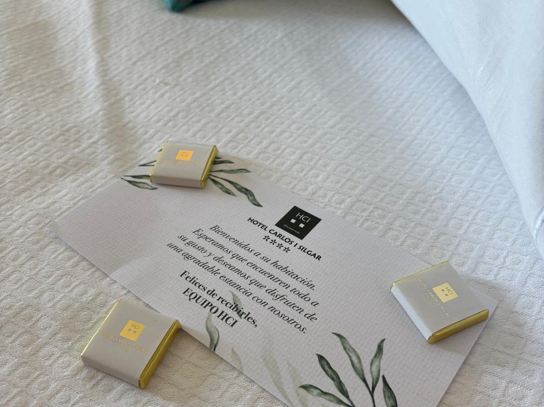 卡洛斯一世西尔加酒店主图