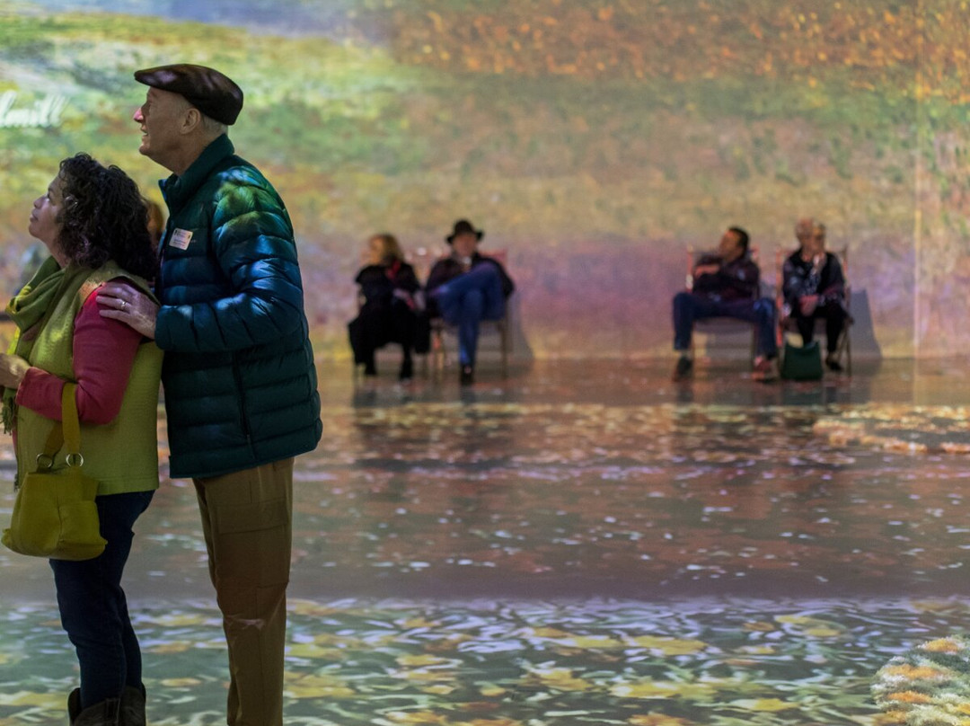 Monet Expo: L'expérience immersive - Lyon-Villeurbanne必去景点