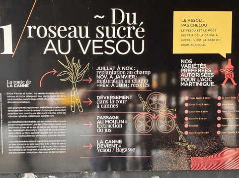 Neisson Distillery (Distillerie Neisson)-马提尼克必去景点