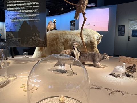 大演化厅-巴黎必去景点