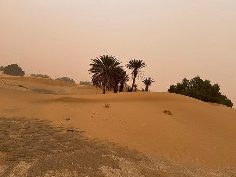 Redouane Sahara Tours 4x4-伊拉悉迪亚必去景点