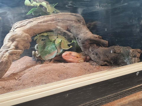 Willow Tree Family Farm-Shirebrook必去景点