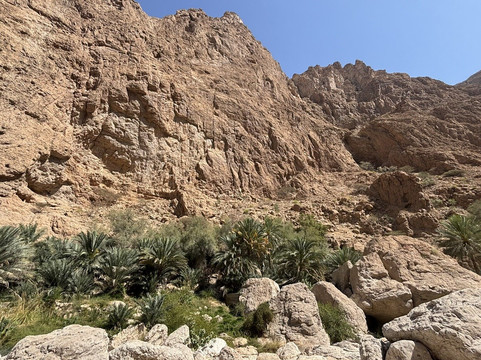 Muscat Nature Tours - Day Tours-马斯喀特必去景点