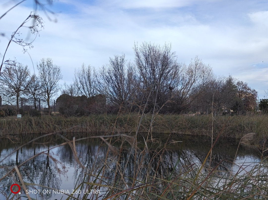Jardin Botanico de Castilla-La Mancha-阿尔瓦塞特必去景点