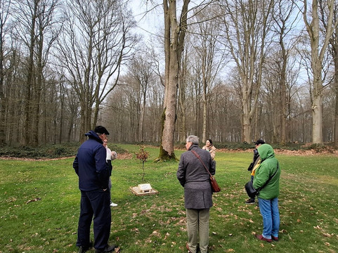 Somme-r-Ballade Private Tours-亚眠必去景点