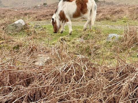 Avon Dam-South Brent必去景点