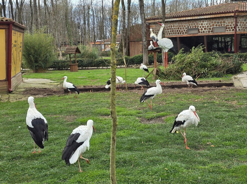 Ormanya-Kartepe必去景点