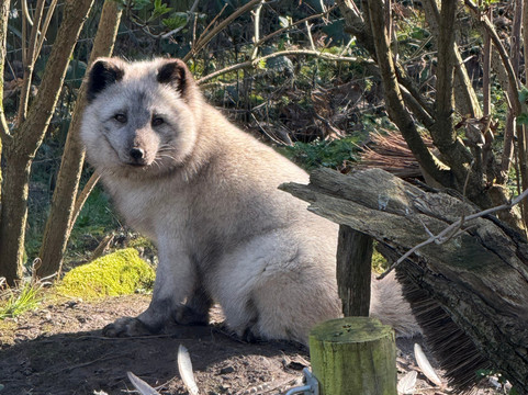 Northumberland Zoo-莫佩思必去景点