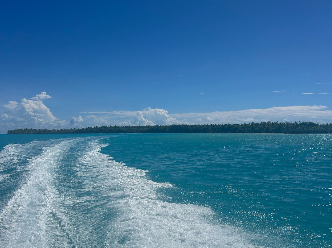 Silent One Lagoon Charters-艾图塔基必去景点