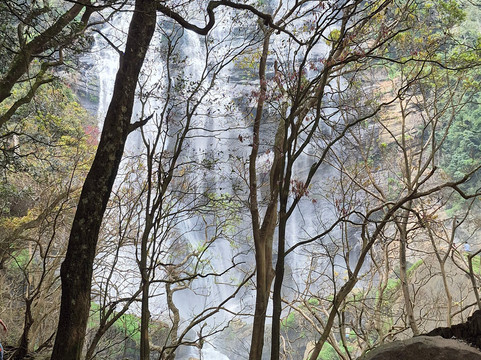 Ceylon Master Tours-Waskaduwa必去景点