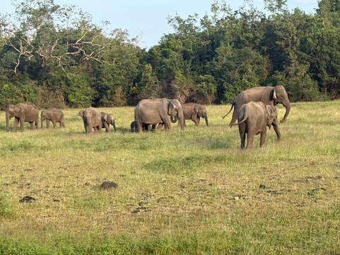 Different Discovery Tours-卡图纳耶克必去景点