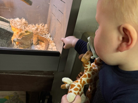 Snake World-Berryville必去景点