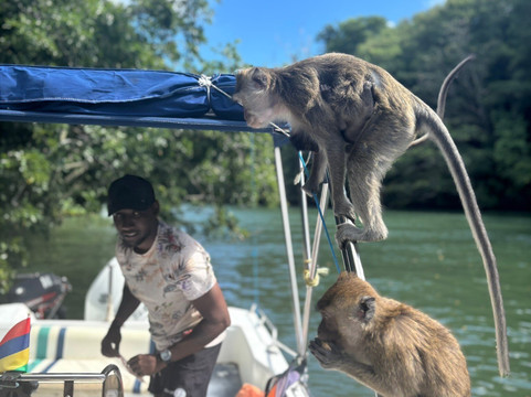 Slice Of Life-卓得多斯必去景点