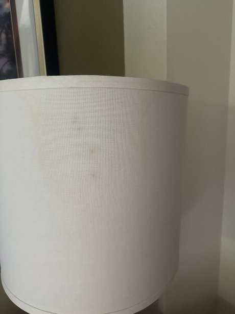 西门罗希尔顿花园酒店-官方