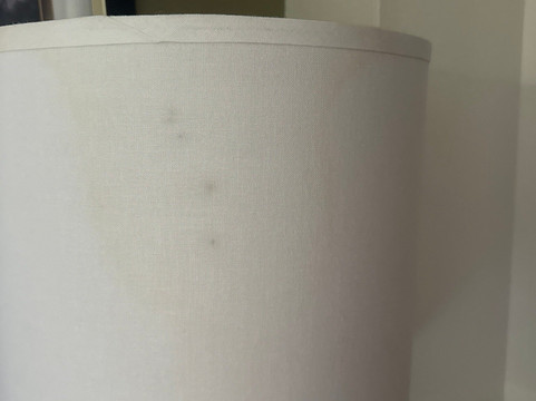 西门罗希尔顿花园酒店主图