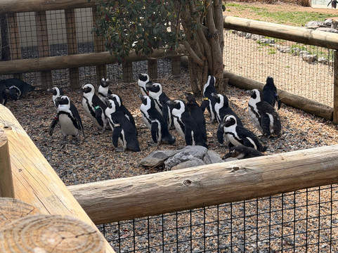 弗吉尼亚游猎公园-天然桥必去景点