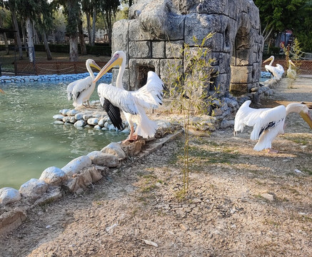 Tarsus Hayvan Parkı-Tarsus必去景点