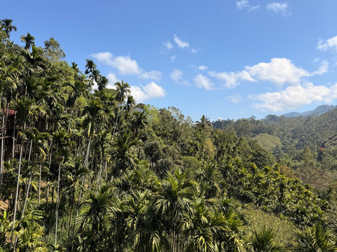 EMI Tours - Sri Lanka-Waikkal必去景点