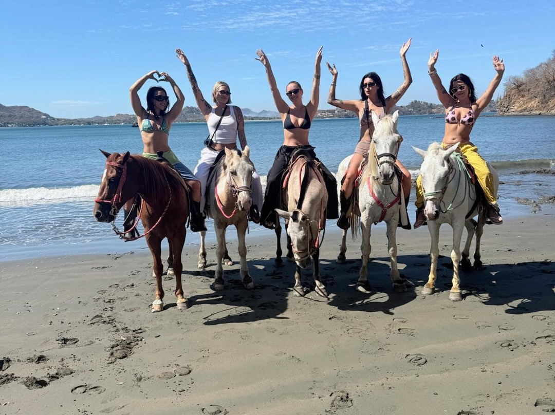 Costa Rica Wet and Wild-波特雷罗必去景点