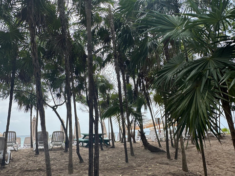 KUZÁ Beach & Adventure Park - Cozumel-考祖梅必去景点