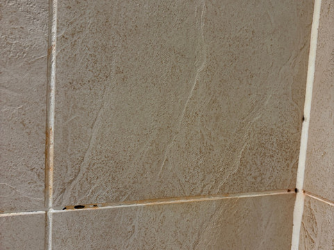 Titanic Spa-Huddersfield必去景点