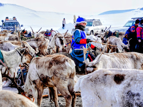 内蒙古私人一日游-乌兰巴托必去景点